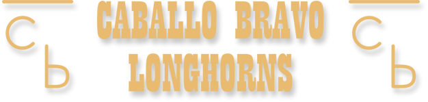 Caballo Bravo Longhorns logo